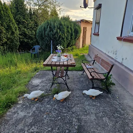 Lejlighed Cicha Woda *