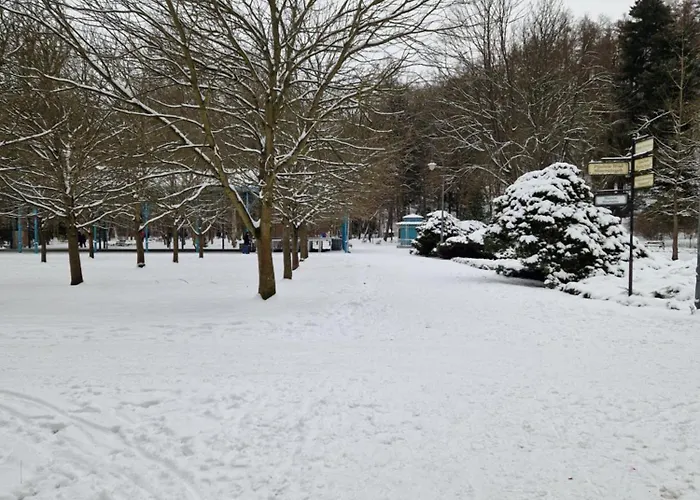 Διαμέρισμα Cicha Woda Kudowa-Zdrój